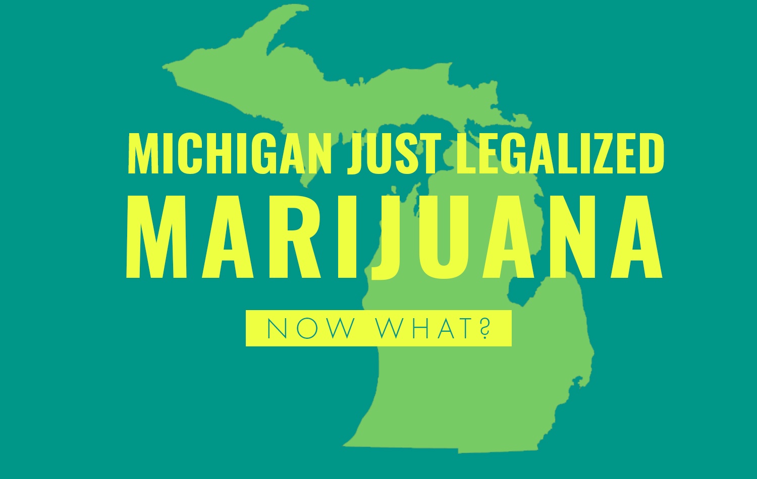 Michigan Legalized Marijuana now what?